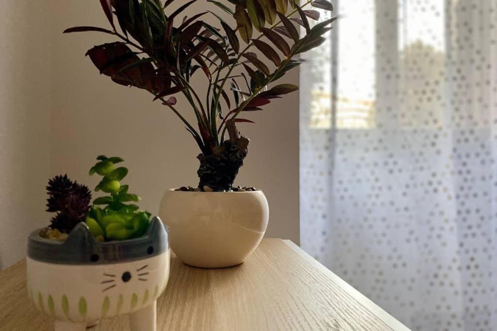 Central Modern Apartment Rome -Locazione Turistica- Bagian luar foto